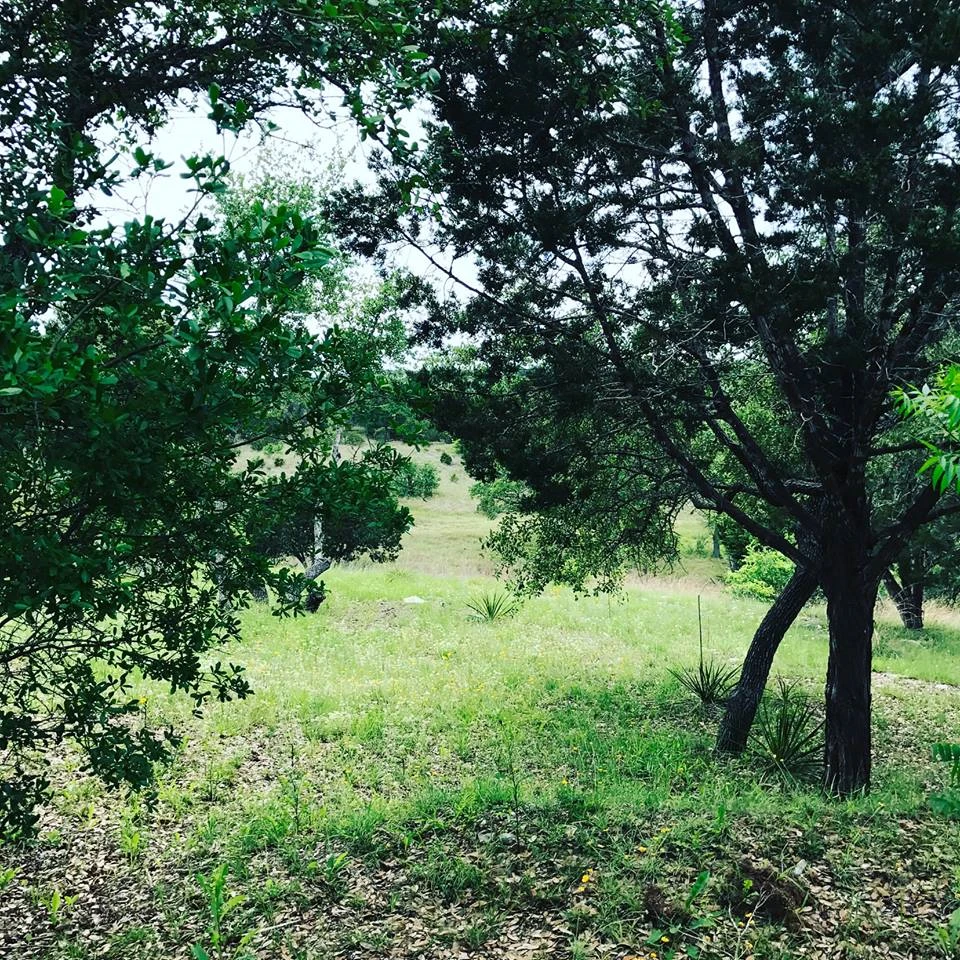 Hill Country Yoga Fusion — slide 4